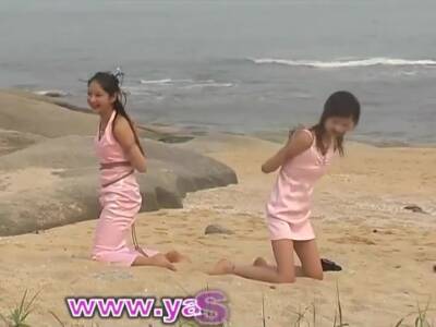 Forest - 2 - upornia.com