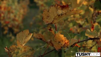 TUSHY Stunning Stefany accepts sexy DP offer on holiday - txxx.com