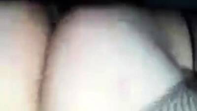 Bear CD bttm gets bred by top bear - icpvid.com