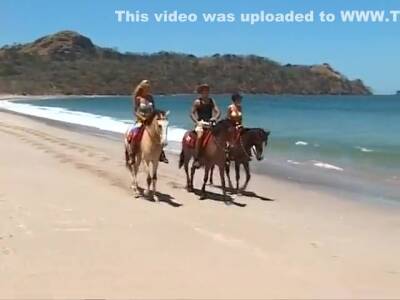 Mm44 Nsnf 02 - upornia.com