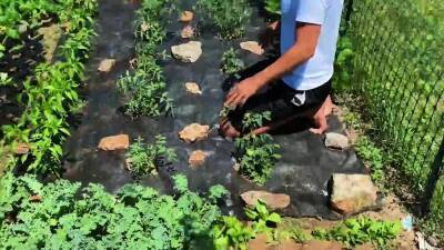 Men.com - Bruno Cartella, Ty Shine - icpvid.com