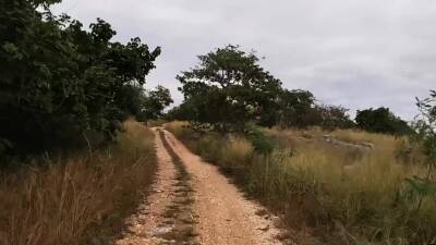 White tourist experienced nice blowjob - nvdvid.com