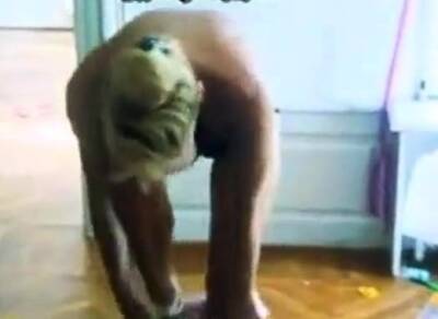 Idioter - nvdvid.com