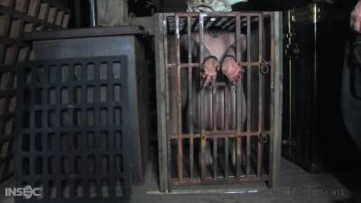Pony In Cage - upornia.com