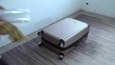 Re-packed In Plastic Wrap - upornia.com - Japan