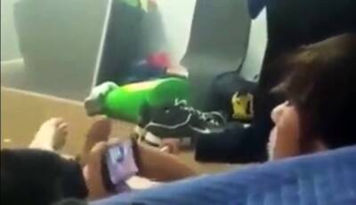 Watch my friend cumming while he's watching porn - nvdvid.com