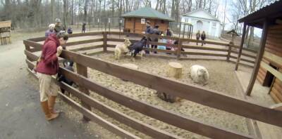 Enchanting blonde Rosa Mentoni enjoys undressing - icpvid.com