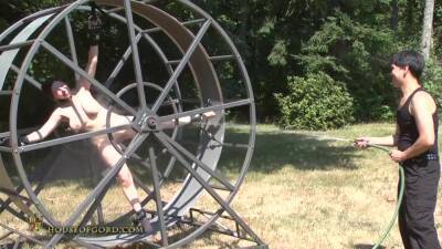 Run Mouse Run - upornia.com