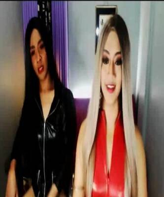 Nice Tits And Shaved Balls From This Shemales - nvdvid.com