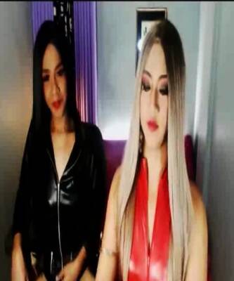 Nice Tits And Shaved Balls From This Shemales - nvdvid.com