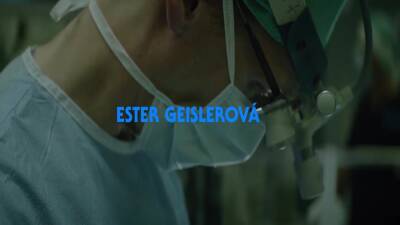 Cachorros Nao Usam Calcas 2019 - upornia.com