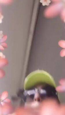 Hot Party - upornia.com