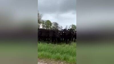 The Location Crazy - hclips.com