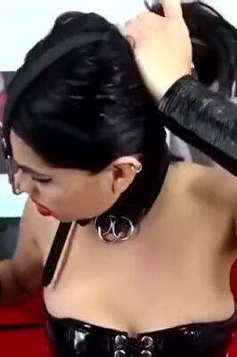 Piggy Cheese - upornia.com