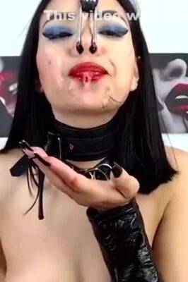 Piggy Cheese - upornia.com