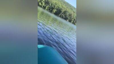 Boat Head - hclips.com