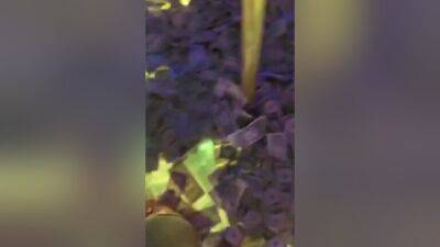 Ig Girl Nude - hclips.com