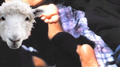 Oil Massage - hclips.com