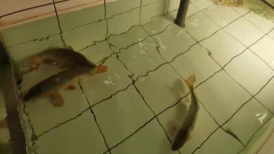 Crazy Slut And Big Dick - upornia.com