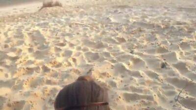 His Dick - Pulls His Dick Out In The Middle Of The Beach - upornia.com