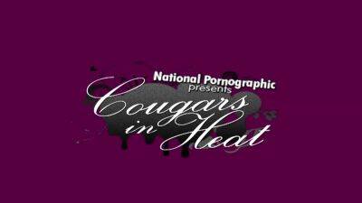 Michelle Lay-Cougar Catnip [Pornvex] - drtuber.com