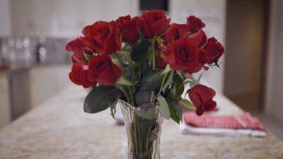 Perspective Pt.1 - Smells Like Teen Spirit (edit) - upornia.com