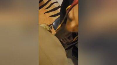 Cleaning Vault - hclips.com