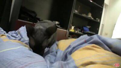 8795.abigaile Creampie (720) - upornia.com