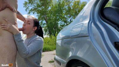 Pulled Off The Road To Have Sex - hclips.com