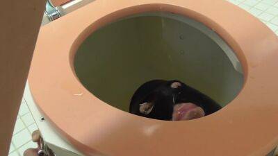 Pee Drink Femdom - upornia.com