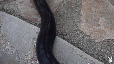 Jessica Lynette - upornia.com