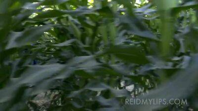 Excellent Adult Clip Tattoo Wild Show - upornia.com