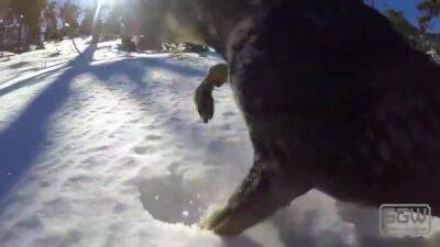 Fucking And Sucking On Mount Charleston 16 Min - upornia.com