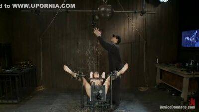 How Much Do You Love Zippers? - upornia.com