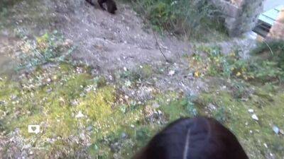 Risky Blowjob During A Dog Walk - hclips.com