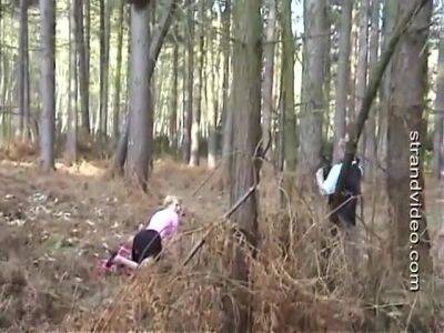 In The Forest - upornia.com