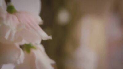 Wedding Scene - upornia.com