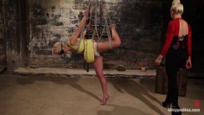 Fresh Meat - Lexi Larue - upornia.com