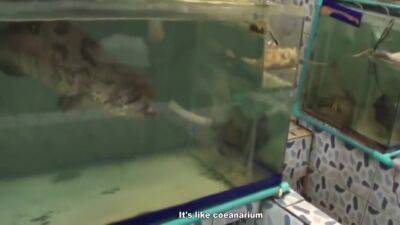 Bikini Girls Sex On Vacation 5 Min - upornia.com