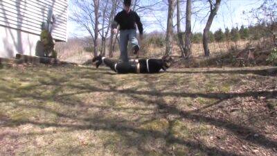 Excellent Porn Video Hd Exclusive Unique - upornia.com