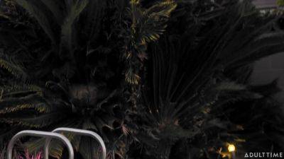 Ana Foxxx - Alexis Tae - A. Fox, Ana Foxxx And Ana Foxx - Back In Town - upornia.com