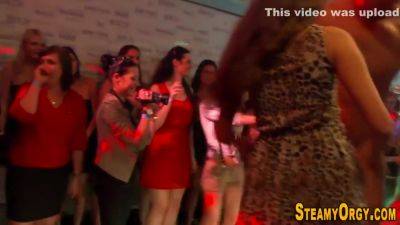 Clothed Amateur Sucking - hclips.com