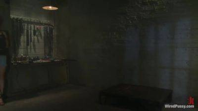 Donna Ami - upornia.com