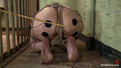 Dragon Marie - hotmovs.com