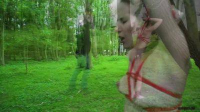 Amy Likes Kinky Sex And Gets It Hard While Tied Up - upornia.com