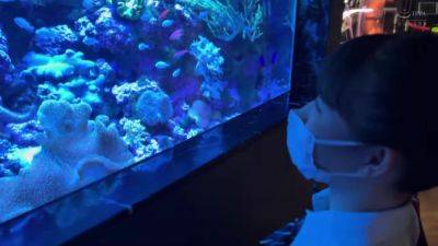 0003812_Japanese_Censored_MGS_19min - txxx.com - Japan