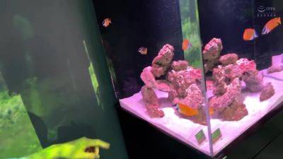 0003812_Japanese_Censored_MGS_19min - txxx.com - Japan