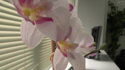 Nxg-430 [sub] Obscene Ol Who Feels Sexual Harassment - upornia.com - Japan