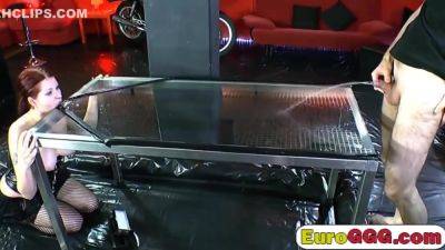 Slutty European Babes Are Sucking Dick On Their Knees - hclips.com