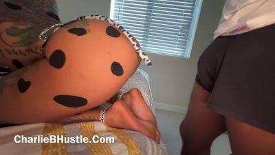 Breeding Dalmatians - hclips.com